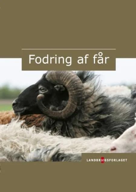 Fodring af får af Svend Bek-Pedersen