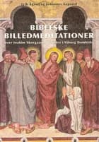Bibelske billedmeditationer over Joakim Skovgaards billeder i Viborg Domkirke af Erik Ågård og Johannes Aagaard