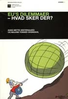 EU's dilemmaer af Anne Mette Vestergaard og Malene Fenger-Grøndahl