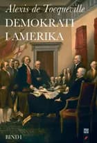 Demokrati i Amerika