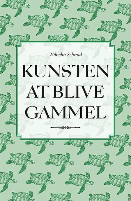 Kunsten at blive gammel af Wilhelm Schmid