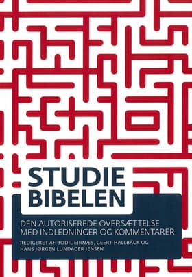 Studiebibelen af Bodil Ejrnæs