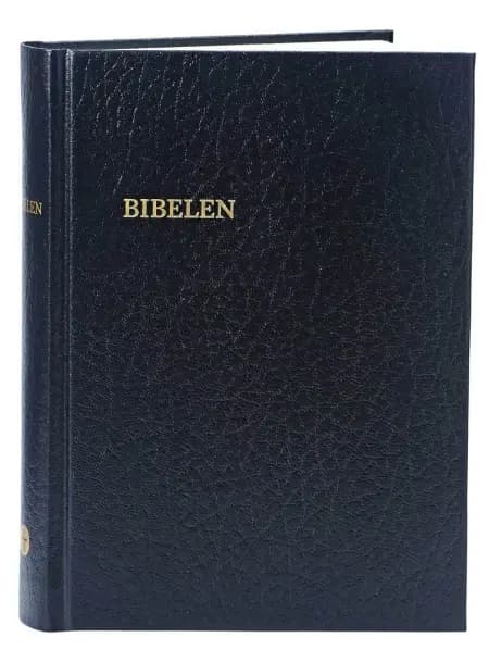 Bibelen af Esben Hanefelt Kristensen