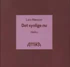 Det synlige nu