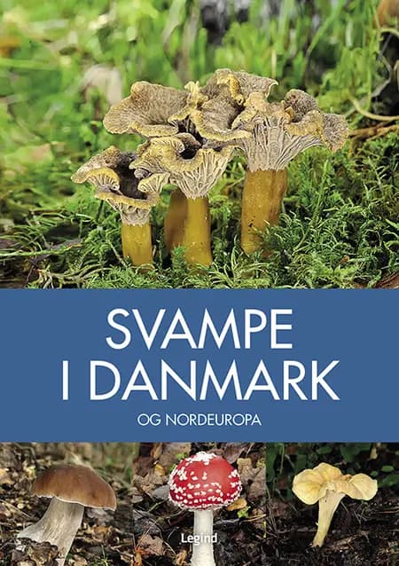 Svampe i Danmark af Josephine Bacon