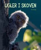 Ugler i skoven af Hao Xianing