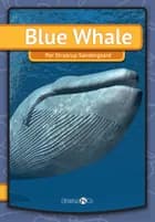 Blue Whale af Per Straarup Søndergaard