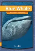 Blue Whale