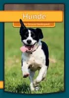 Hunde (Tysk)