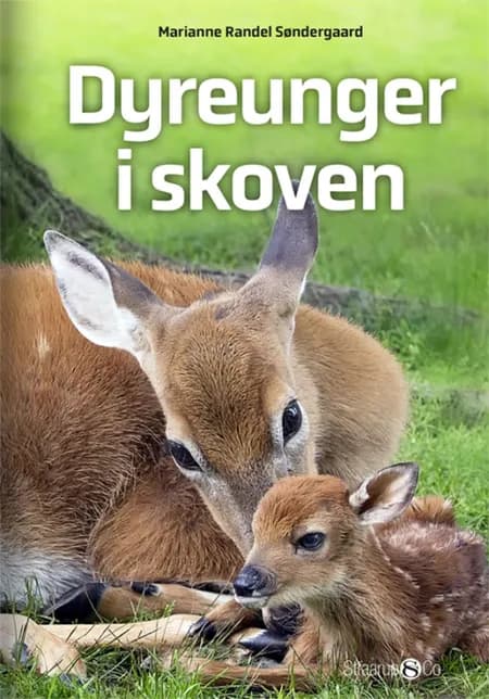 Dyreunger i skoven af Marianne Randel Søndergaard