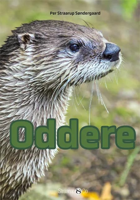 Oddere af Per Straarup Søndergaard