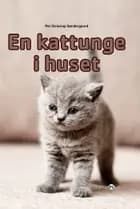 En kattunge i huset (norsk) af Per Straarup Søndergaard