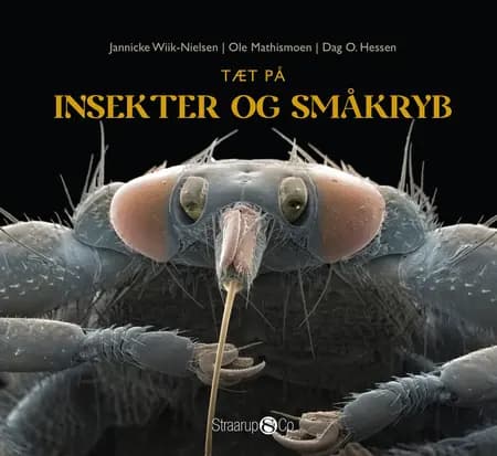 Tæt på insekter og småkryb af Dag O. Hessen og Ole Mathismoen