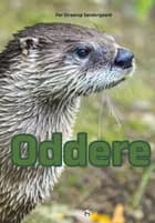 Oddere af Per Straarup Søndergaard