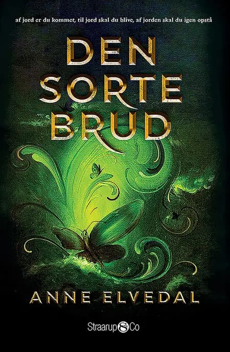 Den sorte brud af Anne Elvedal