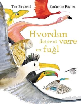 Hvordan det er at være en fugl af Catherine Rayner