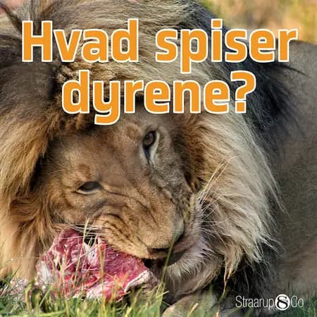 Hvad spiser dyrene? af Marianne Randel Søndergaard
