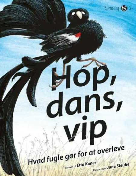 Hop, dans, vip af Etta Kaner