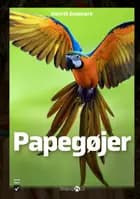 Papegøjer