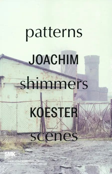 Joachim Koester. Patterns Shimmers Scenes af Joachim Koester
