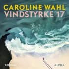 Vindstyrke 17