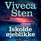 Iskolde øjeblikke af Viveca Sten