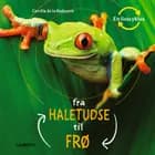 Fra haletudse til frø af Camilla de la Bédoyére