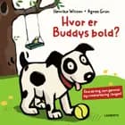 Hvor er Buddys bold? af Agnes Grün