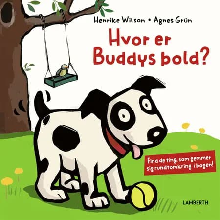 Hvor er Buddys bold? af Agnes Grün