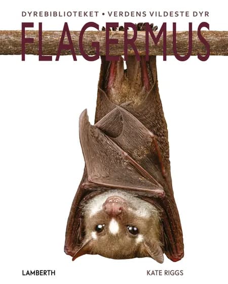 Flagermus af Kate Riggs