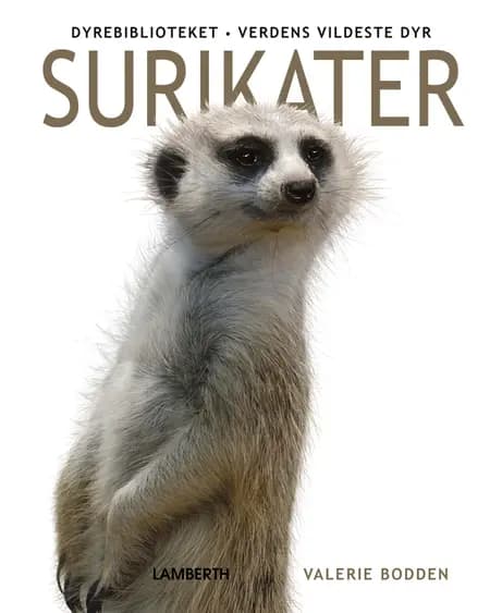 Surikater af Valerie Bodden