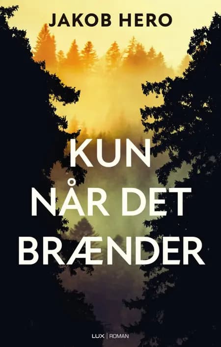Kun når det brænder af Jakob Hero