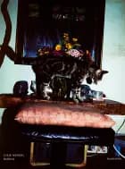 Relikvie af Julie Mendel