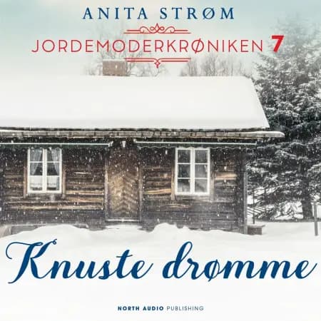 Knuste drømme af Anita Strøm