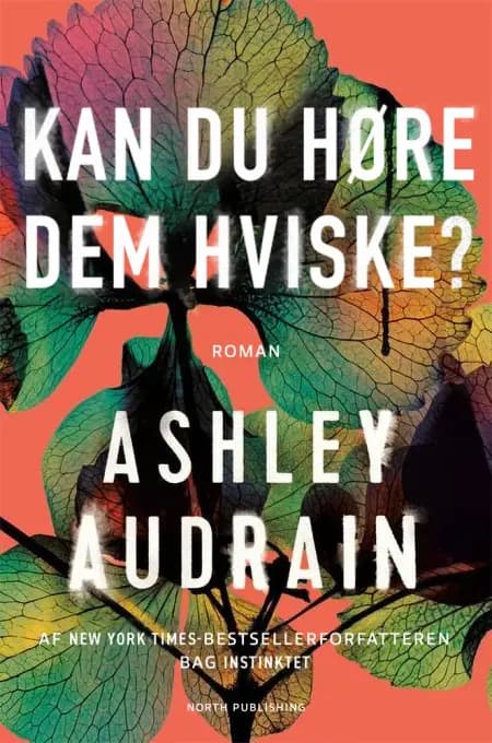 Kan du høre dem hviske? af Ashley Audrain