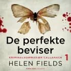 De perfekte beviser af Helen Fields