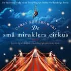 De små miraklers cirkus