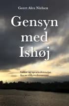 Gensyn med Ishøj af Geert Alex Nielsen