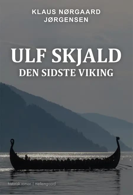 Den sidste viking af Klaus Nørgaard Jørgensen