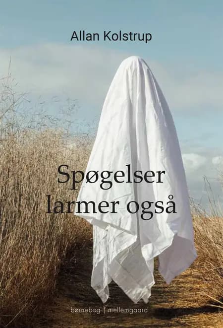 Spøgelser larmer også af Allan Kolstrup