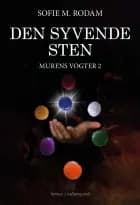 Den syvende sten