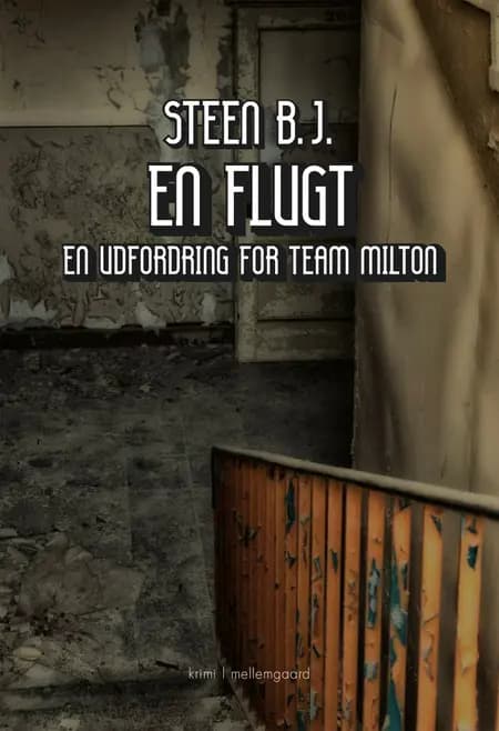 En flugt af Steen B.J.
