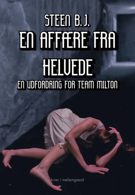 En affære fra helvede af J