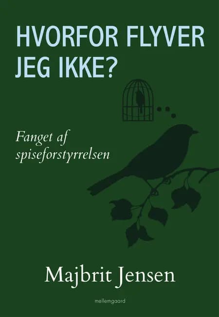 Hvorfor flyver jeg ikke? af Majbrit Jensen
