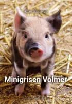 Minigrisen Volmer af Allan Kolstrup