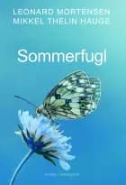 Sommerfugl