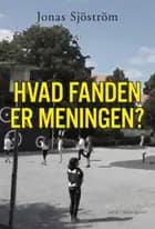 Hvad fanden er meningen? af Jonas Sjöström