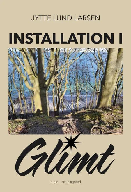 Installation i glimt af Jytte Lund Larsen