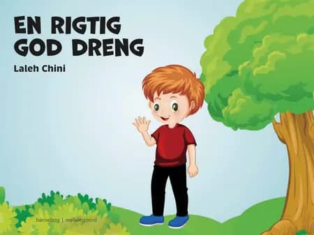 En rigtig god dreng af Laleh Chini