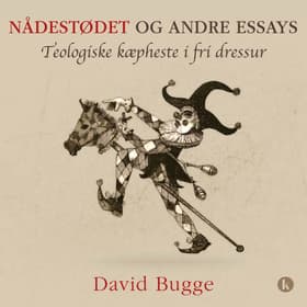 Nådestødet og andre essays af David Bugge